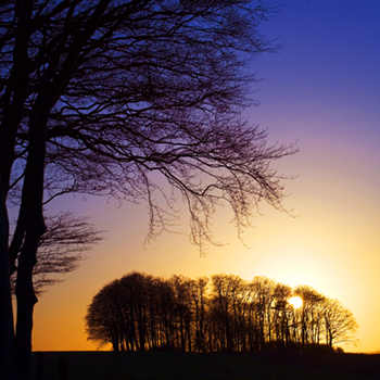 WL_01 Sunset Glow